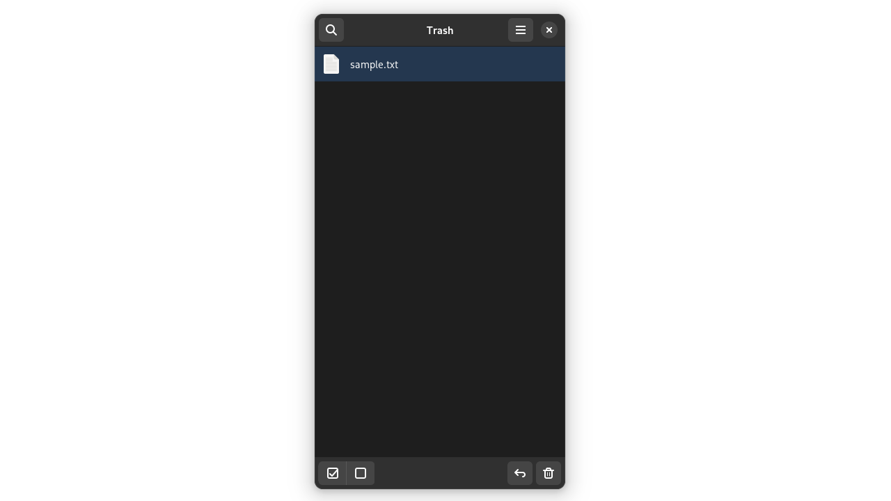 portfolio-filemanager