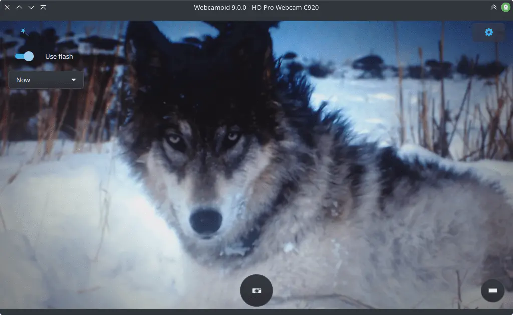 webcamoid